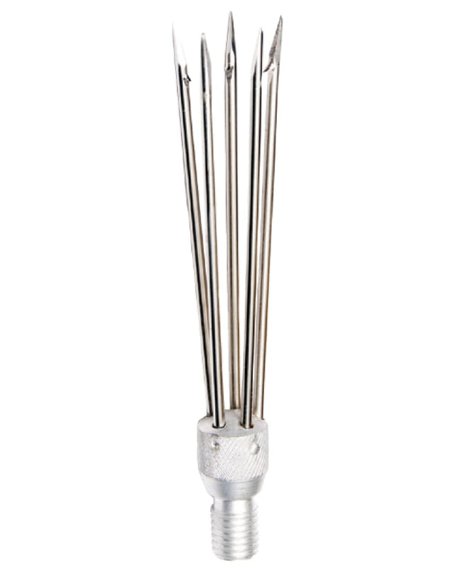 5 BARB CLUSTER : CL04