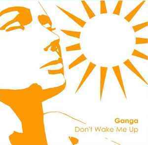 Flinc Music - CD: Don't Wake Me Up