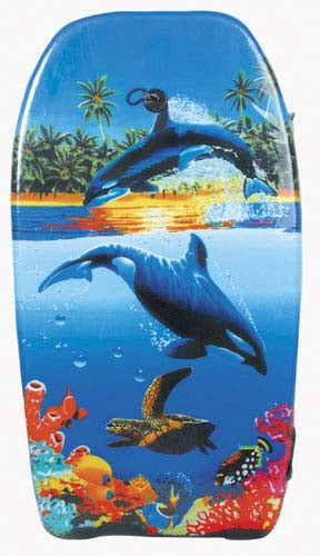PALM BEACH - PALM BEACH WAVERIDER 41& LEASH