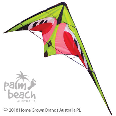 DELTA STUNT KITE