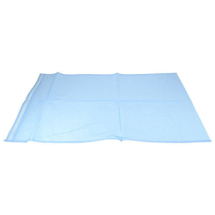 Pillow Case Plastic Blue