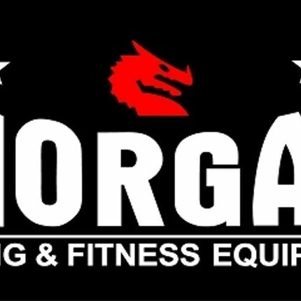 MORGAN LOGO BANNER (SMALL)