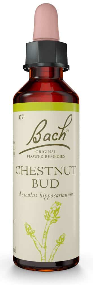 BACH FLOWER CHESTNUT BUD 20ML