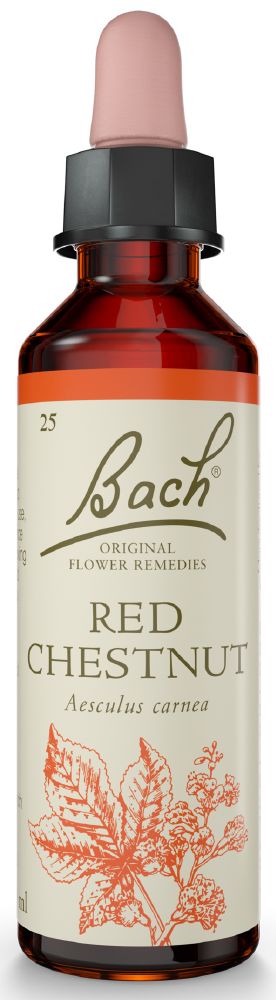 BACH FLOWER RED CHESTNUT 20ML
