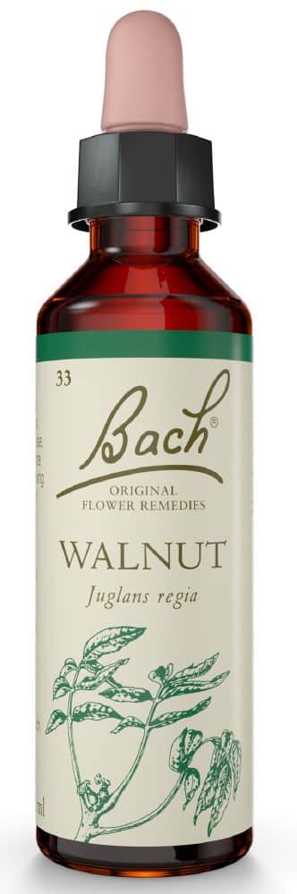 BACH FLOWER WALNUT 20ML