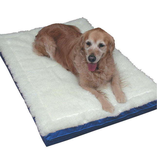 WICKS MAGNETIC PET BED
