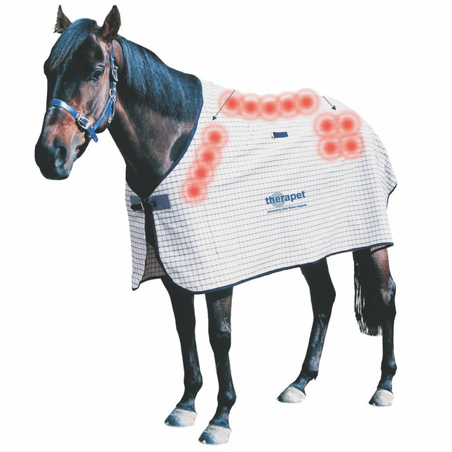DICK WICKS MAGNETIC HEAVY DUTY RIPSTOP HORSE RUG