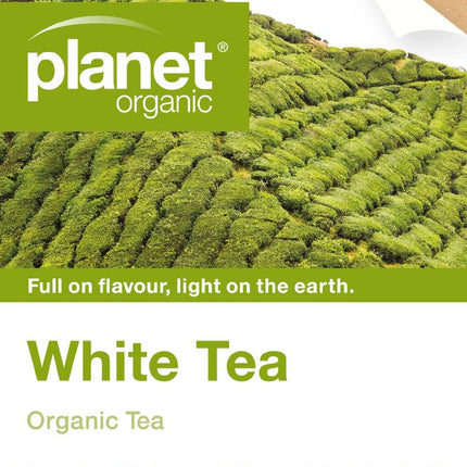 PLANET ORGANIC TEA WHITE TEA X 25 TEA BAGS