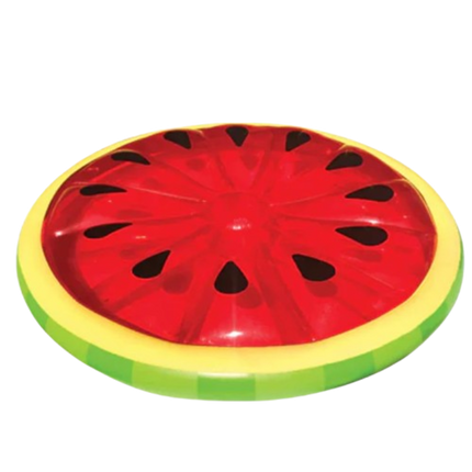 Palm Beach Watermelon Pool Float