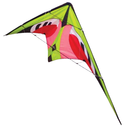Palm Beach Delta Stunt Kite