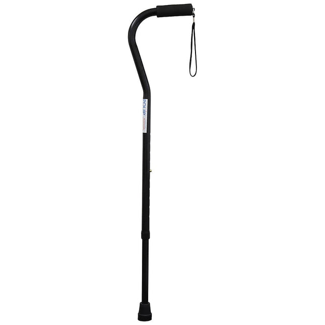 Offset Handle Walking Stick - Black