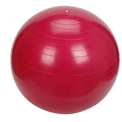 NORCO EXERCISE BALL