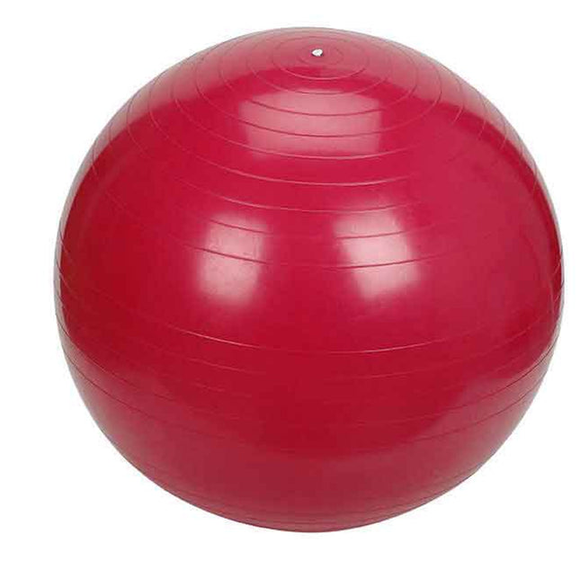 NORCO EXERCISE BALL