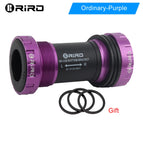 Ordinary-Purple