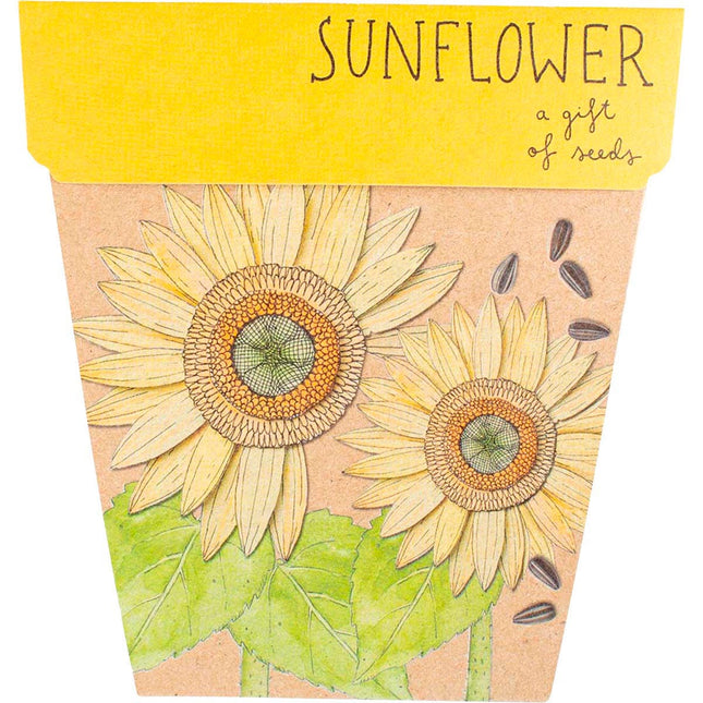Sow 'n Sow - Gift of Seeds Sunflower