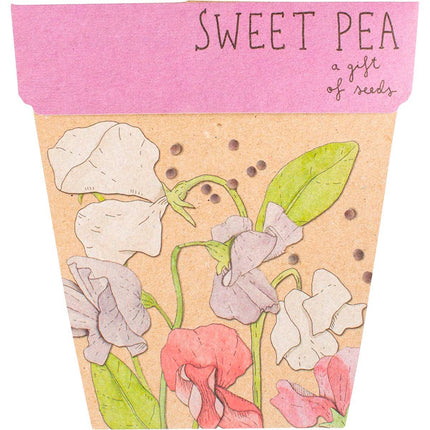 Sow 'n Sow - Gift of Seeds Sweet Pea