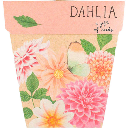 Sow 'n Sow - Gift of Seeds Dahlia