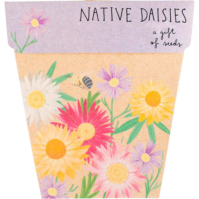Sow 'n Sow - Gift of Seeds Daisies Native -