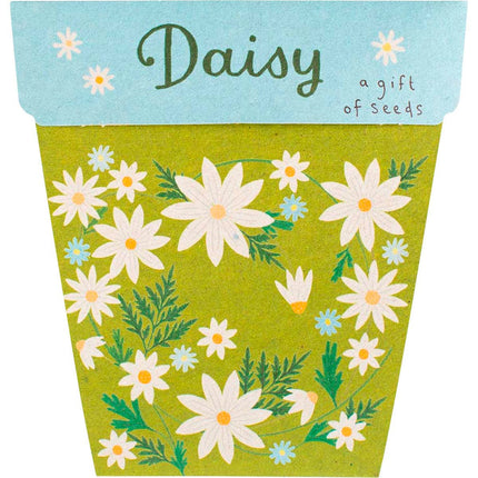 Sow 'n Sow - Gift of Seeds Daisy