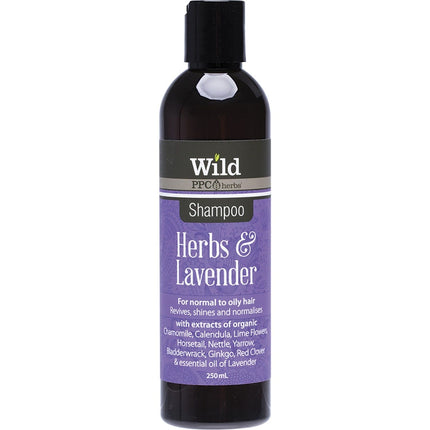WILD Shampoo Herbs 250ml