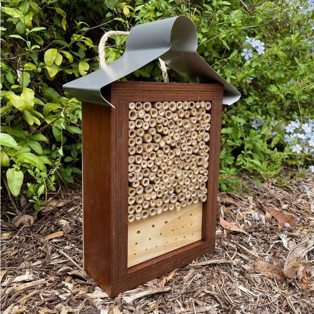 ABEEC HIVES STAINED SOLITARY NATIVE BEE HOTEL AUSTRALIAN LADYBIRD AND INSECT HOUSE MIXED LARGE