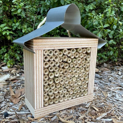 ABEEC HIVES BARE TIMBER SOLITARY NATIVE BEE HOTEL AUSTRALIAN LADYBIRD AND INSECT HOUSE ALL BAMBOO SMALL
