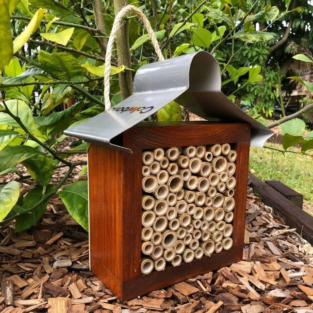 ABEEC HIVES STAINED TIMBER SOLITARY NATIVE BEE HOTEL AUSTRALIAN LADYBIRD AND INSECT HOUSE ALL BAMBOO SMALL