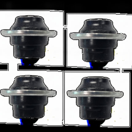 1003 main image