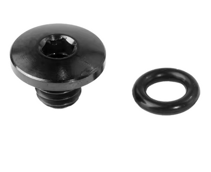 BICYCLE PARTS - TRP BLEED PORT SCREWS, FOR TRP SLATE LEVER, M5 X 4.5MM. MOD.ABOT001061