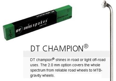 BICYCLE PARTS - SPOKES - DT CHAMPION SPOKE, 256MM, SILVER (SOLD INDIVIDUALLY) - 14G (2.0MM), J HOOK, STAINLESS STEEL