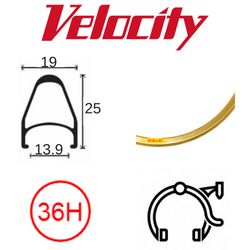 BICYCLE PARTS - RIM 700C X 14MM - VELOCITY FUSION - 36H - (622 X 14) - PRESTA VALVE - RIM BRAKE - D/W - BRIGHT GOLD