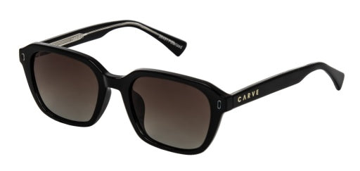 CARVE DEL RAY GLOSS BLACK- BROWN GRADIENT POL LENS
