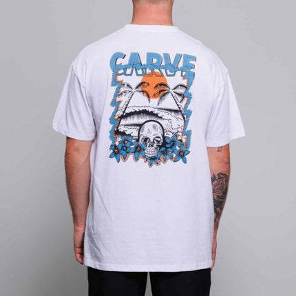 CARVE GONE TROPPO BOYS SHORT SLEEVE TEE - ALFALFA - 6 pieces 8/10/12/14 (1/2/2/1)